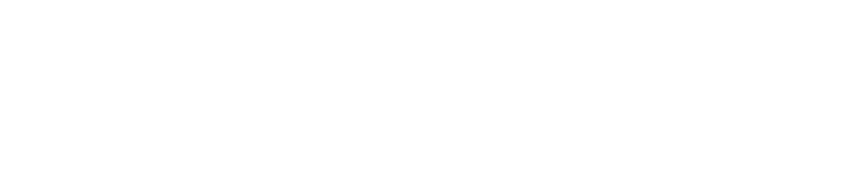 nginx logo